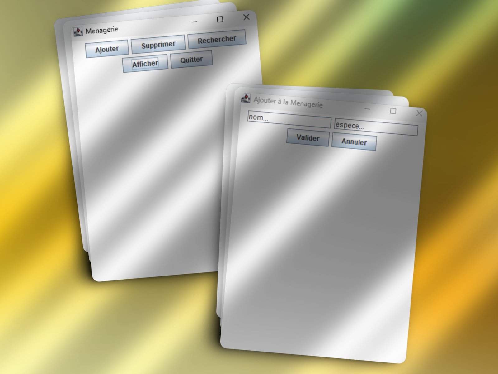 Aperçu Application CRUD Java