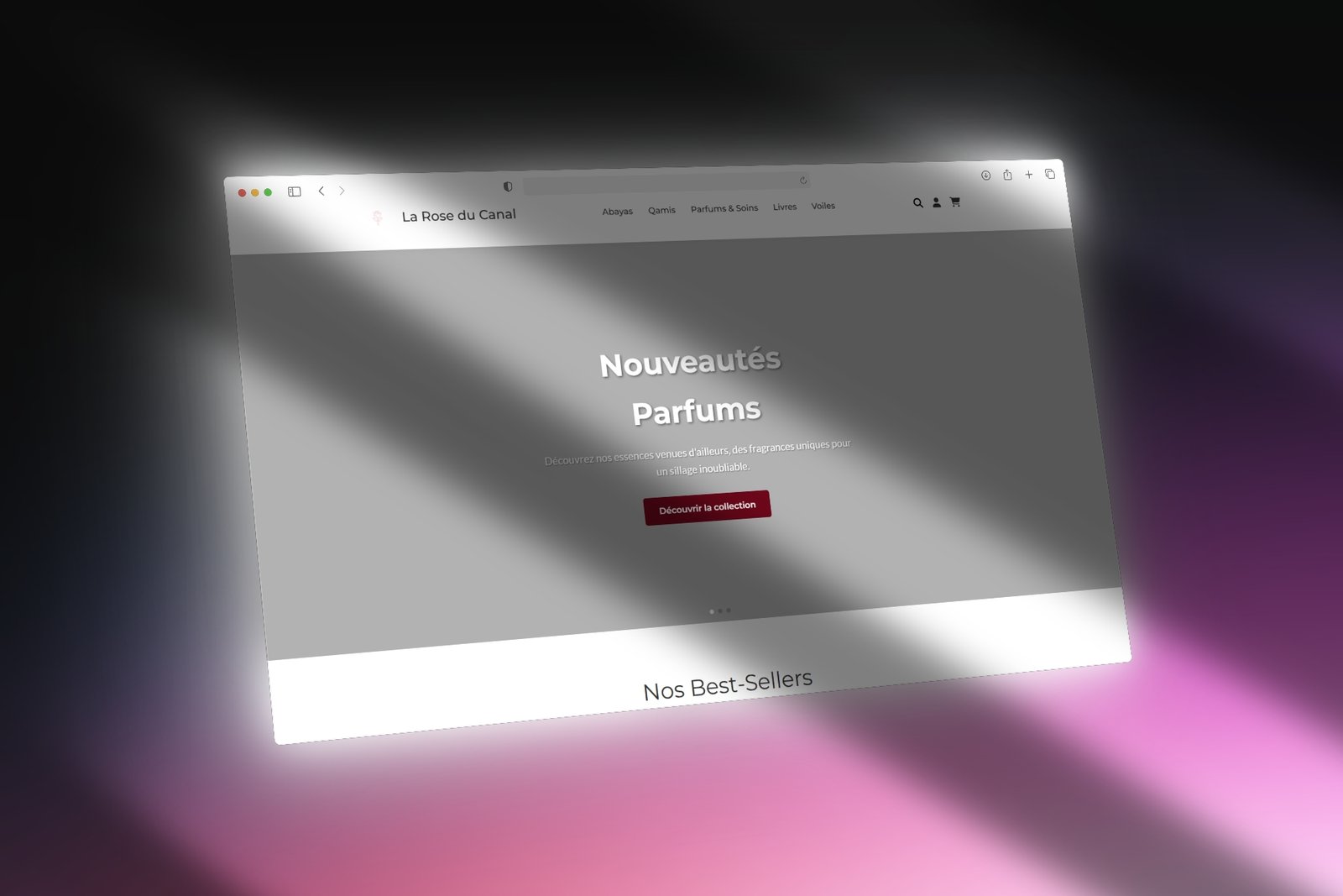 Aperçu Site Marchand